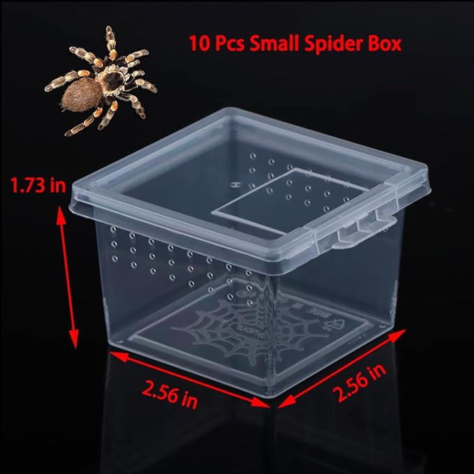 10 Pack Small Size Spider Terrariums Breeding Box Hatching Container Insect Scorpion Centipede Acrylic Breeding Box (with 10 Pcs Micro Water Bowl