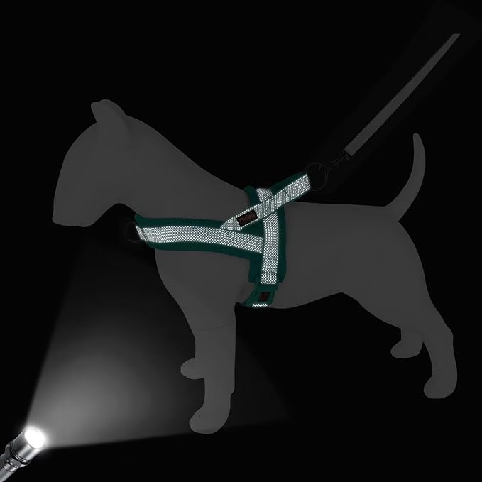 Didog No Pull Dog Harness with Breathable Mesh Padded, Full Reflective & Quick Fit Adjustable Vest Harness, Easy for Training Walking for Small & Medium and Large Dogs (Green, M:Chest 21-26")