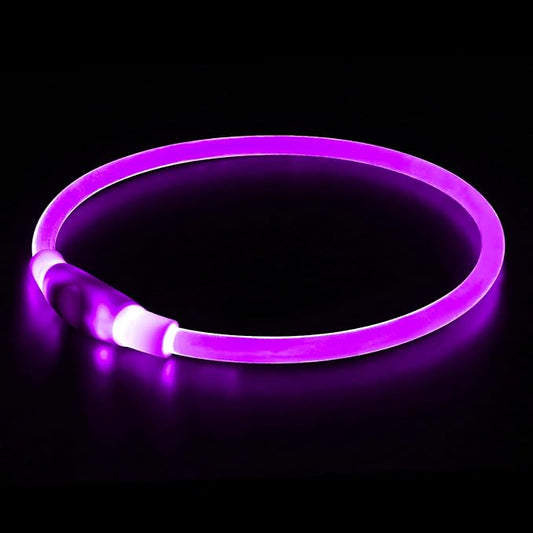 Light up Dog Collar, BSEEN USB Rechargeable Flash Dog Necklace Light, Pet Safety Collar Makes Your Beloved Dogs Be Seen at Night for Small Medium Large Dogs(Purple)