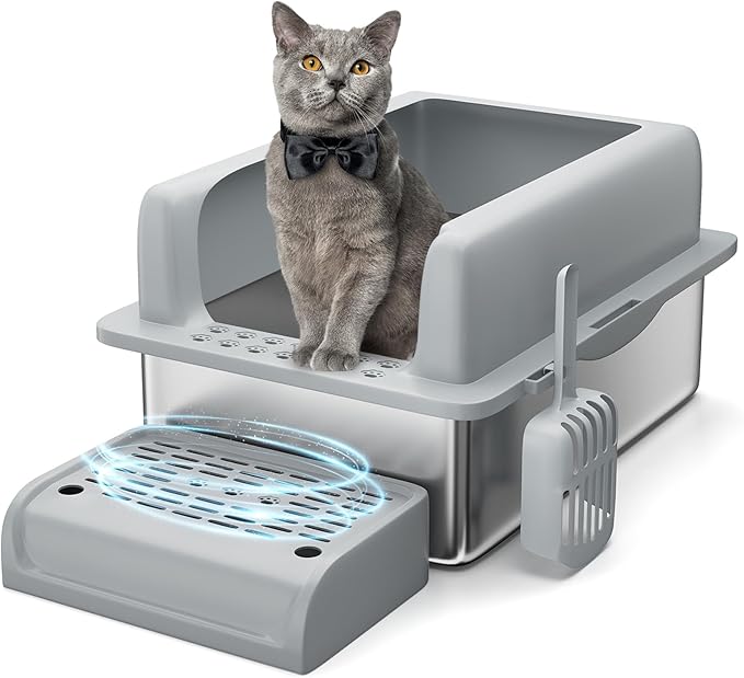 Stainless Steel Cat Litter Box 8 inch, XXL Large Cat Litter Tray with High Side, Platform Step and Scoop for Big Cats Multiple Cats, Easy Clean