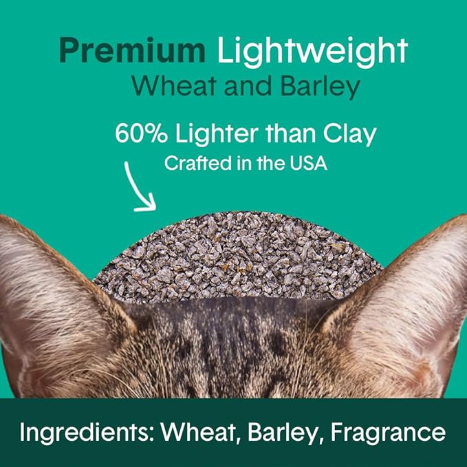 Boxie Gently Scented Cat Litter, Lightweight 30-Day Odor Control, Clumping, 6.5lb