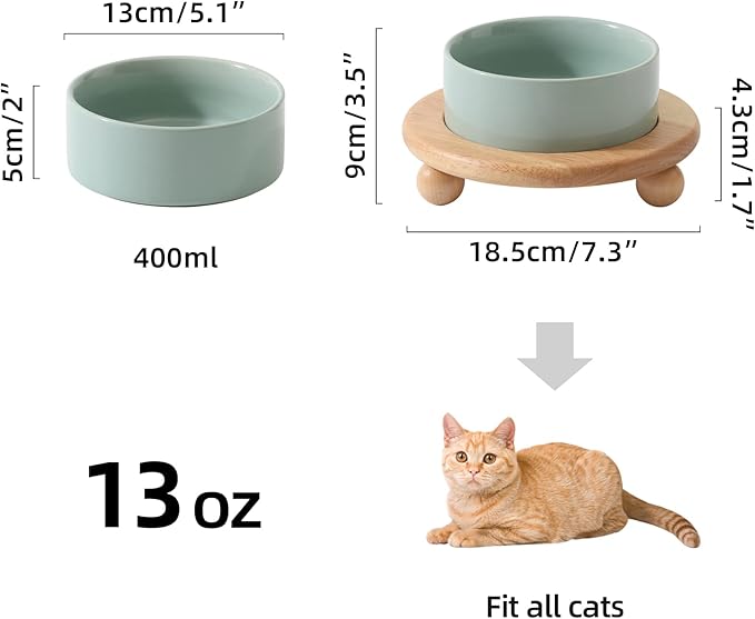 Ceramic Elevated Cat Food and Water Bowl, Kitty Bowl, Raised Cat Dish, Pet Feeder (5.1 in,1 x Light Green + Stand)