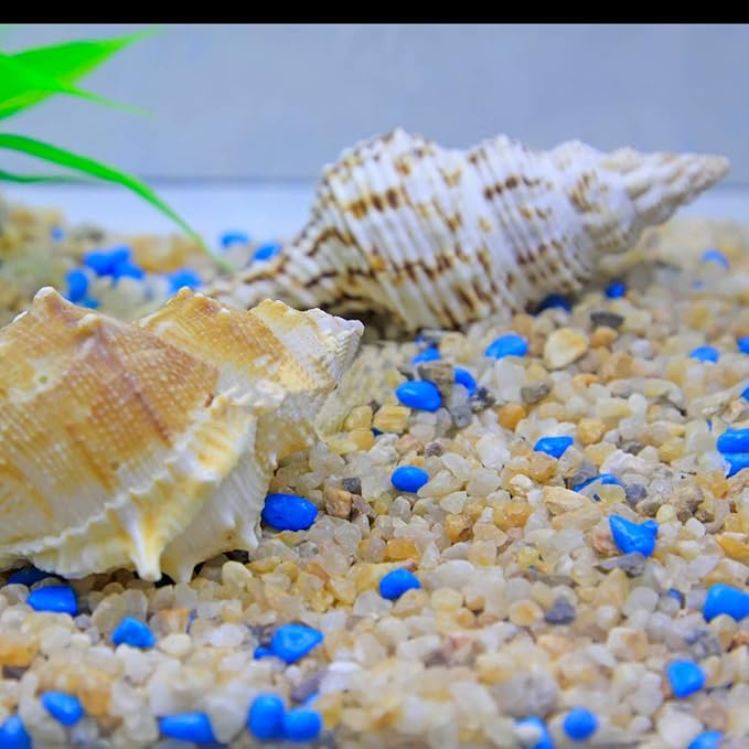 TOYPOPOR 6lb Succulent and Cactus Bonsai Gritty Mix Rocks, Natural Coarse Sand Stone, Potted Plant Decorative Gravel, DIY Projects Pebbles for Vases Fillers, Terrarium, Fairy Gardening, Top Dressing