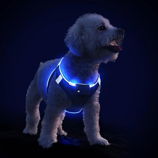 PceoTllar Light Up Dog Harness, LED No Pull Reflective Dog Harness, Flashing Lighted for Night Walking - Small/Medium (Black Blue,s)