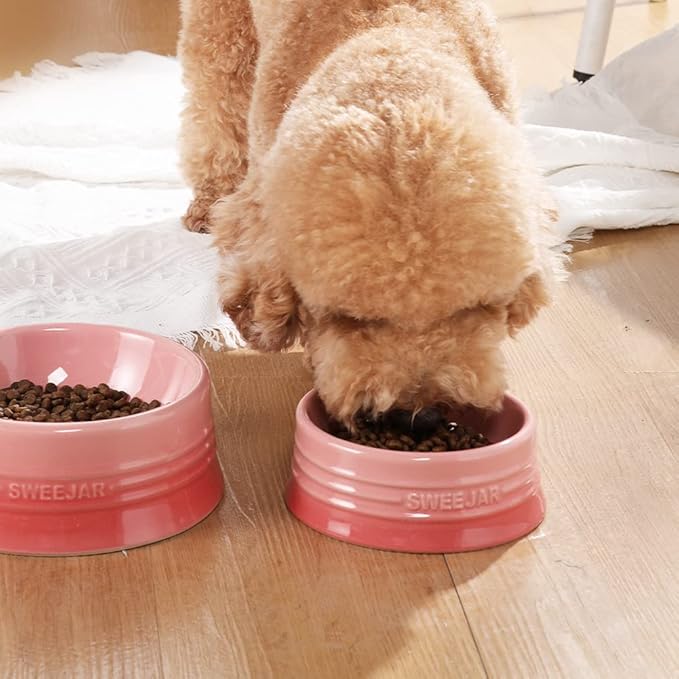 Sweejar Gradient Dog Bowl, Ceramic Dog Food Dish for Puppy and Kitten, Porcelain Pet Bowl for Food and Water 8 oz (Gradient Pink)