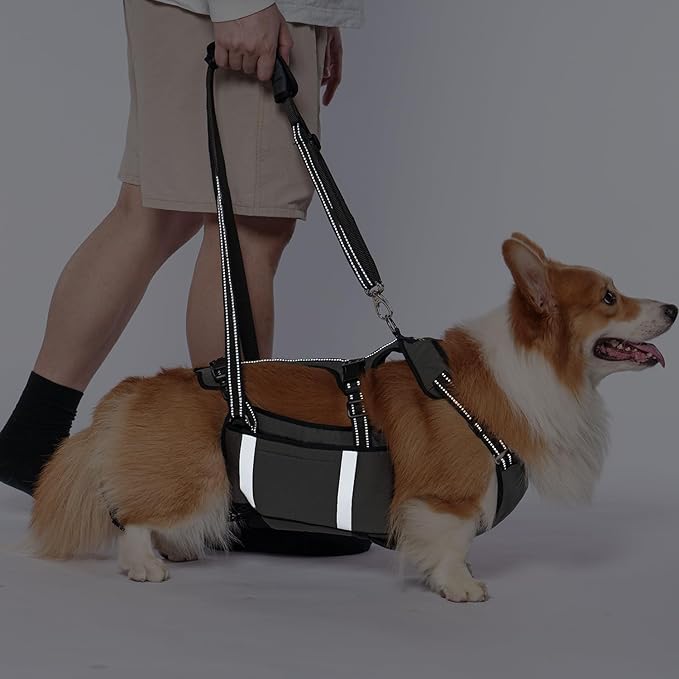 COODEO Mobility Dog Lift Harness, Emergency Carry Sling, Pet Rear Leg Support Rehabilitation Lifts Vest, Dog Carrier for Senior Dogs Joint Injuries, Arthritis (Military Green, L)