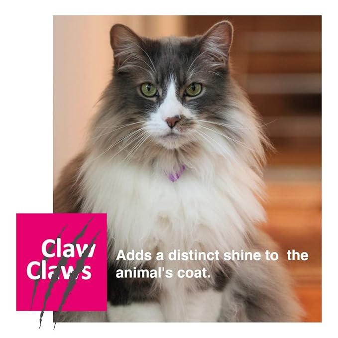 Pet Slicker Brush for Medium Dogs, Wooden Handle with Stainless Steel Soft Pins, Gently Remove Tangled, Loose Undercoat and Mats Hair, Pet Grooming Brush Tool (6.6")