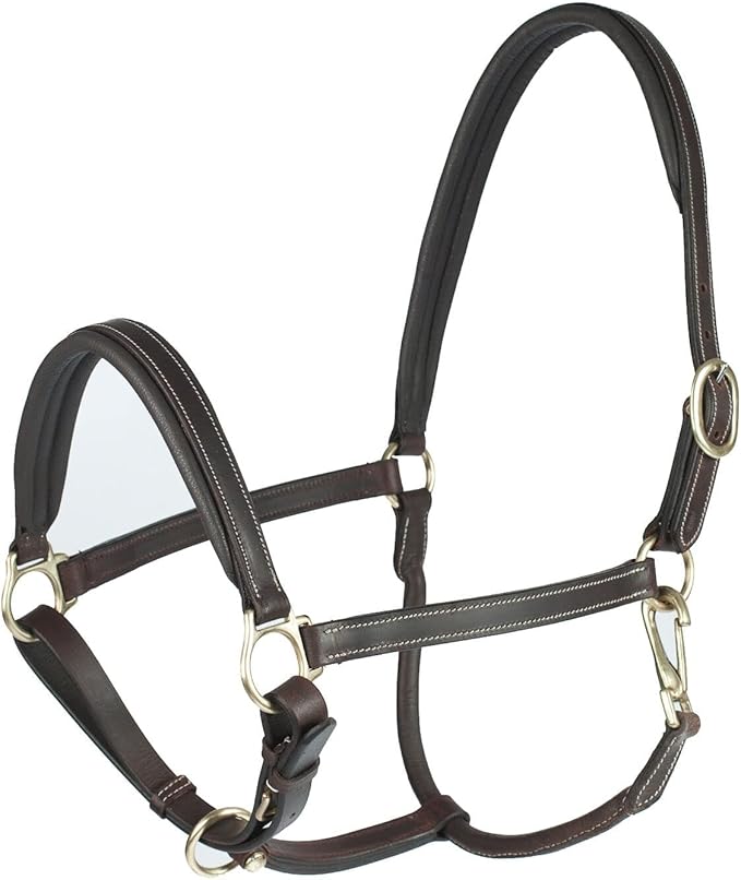 HORZE Largo Genuine Leather Horse Halter | Adjustable Padded Noseband and Crown