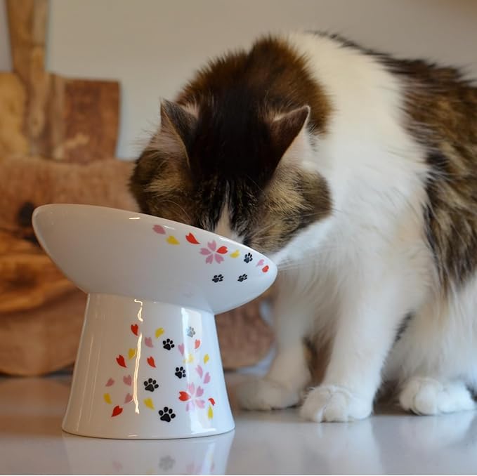 Necoichi Extra Wide Raised Cat Food Bowl, Elevated Cat Bowls to Prevent Neck & Whisker Fatigue, Dishwasher and Microwave Safe, No.1 Seller in Japan! (Sakura Limited Edition, Extra Wide Tilted)
