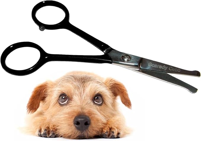 Tiny Trim 4.5" Ball-Tipped Scissor for Dog, Cat and all Pet Grooming - Ear, Nose, Face & Paw - Scaredy Cut's small Safety Scissor