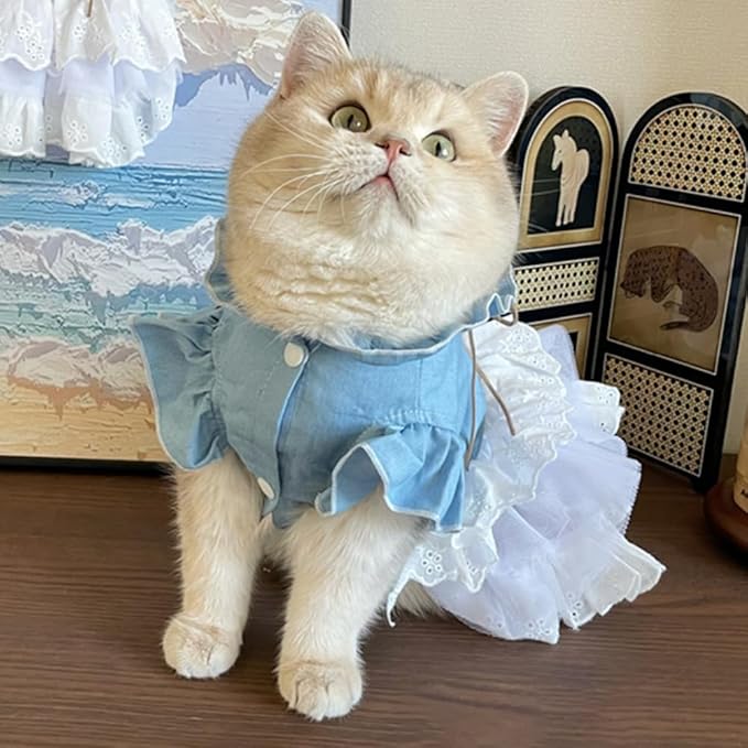 Girl Dog Denim Dress with Flared Sleeves Dog Jeans Jacket Blue White Puppy Clothes for Small Dogs Cat Apparel Cake Skirt Pet Outfit (Blue, Large)