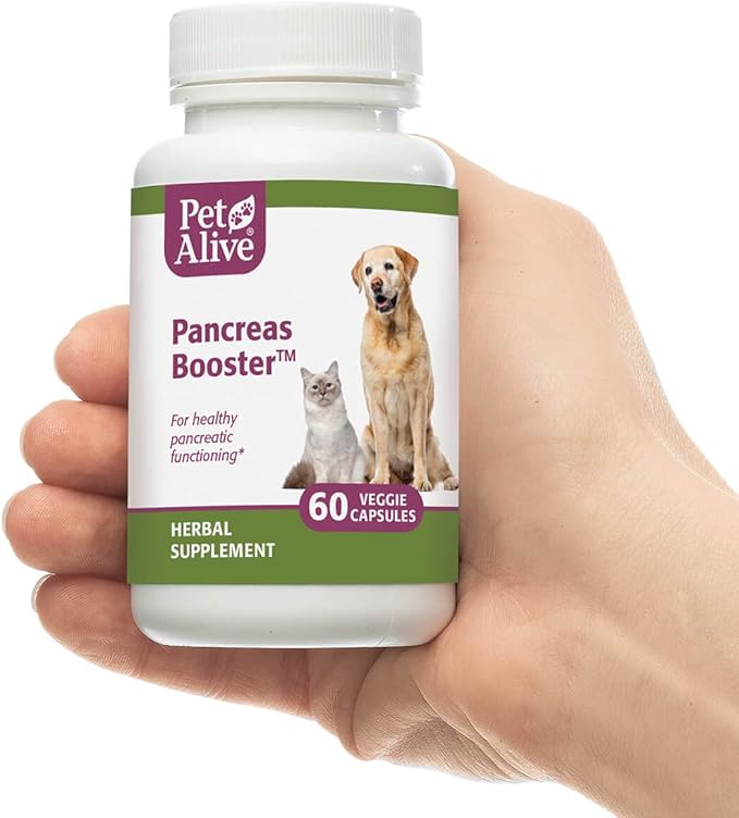 PetAlive Pancreas Booster - All Natural Herbal Supplement for Pancreatic Health and Digestive Functioning in Cats and Dogs - Supports Healthy Insulin Production - 60 Veggie Caps