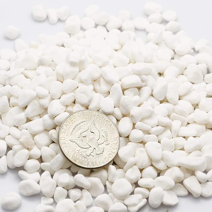 TOYPOPOR Mini White Rocks Stone Decorative Pebbles Vase Fillers Succulents Cactus Bonsai DIY Plant Rock Garden Outdoor Indoor Gravel for Aquarium, Terrarium, Fairy Gardening, Top Dressing 6lbs