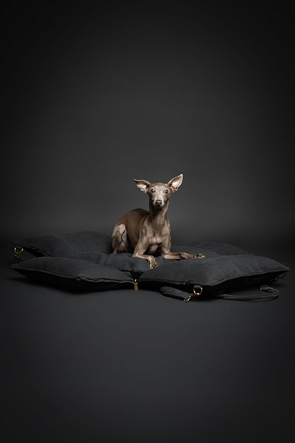 Noah & Paw Dog Car Seat Carrier, Small Dog Car Seat for Small Medium Pets with Harness Clip, 4X Safety Feature, Booster Travel Bed, Waterproof Washable, Orthopedic Foam Filling, Canvas Collection