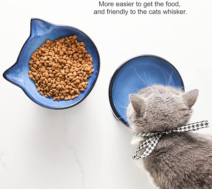 Nihow Elevated Cat/Dog Bowls Set : 6.2 Inch Ceramic Raised Cat Food & Water Bowl Set for Protecting Pet's Spine - Feeding & Watering Supplies for Cat/Small Size Dog - Elegant Blue & Black (2 PC)