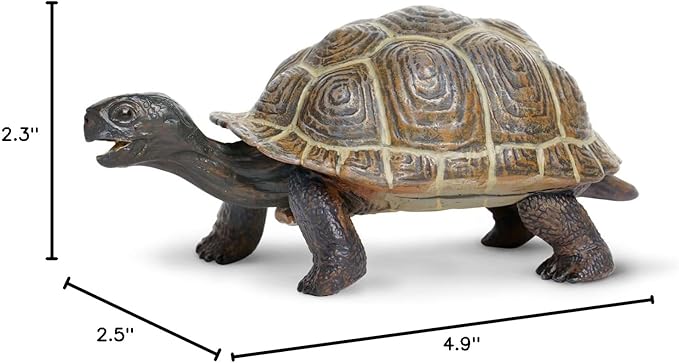 Safari Ltd. Tortoise Baby Figurine - Detailed 5.5" Plastic Model Figure - Fun Educational Play Toy for Boys, Girls & Kids Ages 18M+