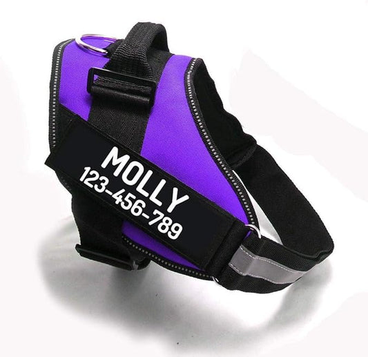 PawPawify Custom No Pull Dog Harness with Name and Phone Number, Heavy Duty Personalized Pet Vest to Prevent Tugging, Pulling, or Choking, Training and Walking (Purple, L (40-60 LBS))
