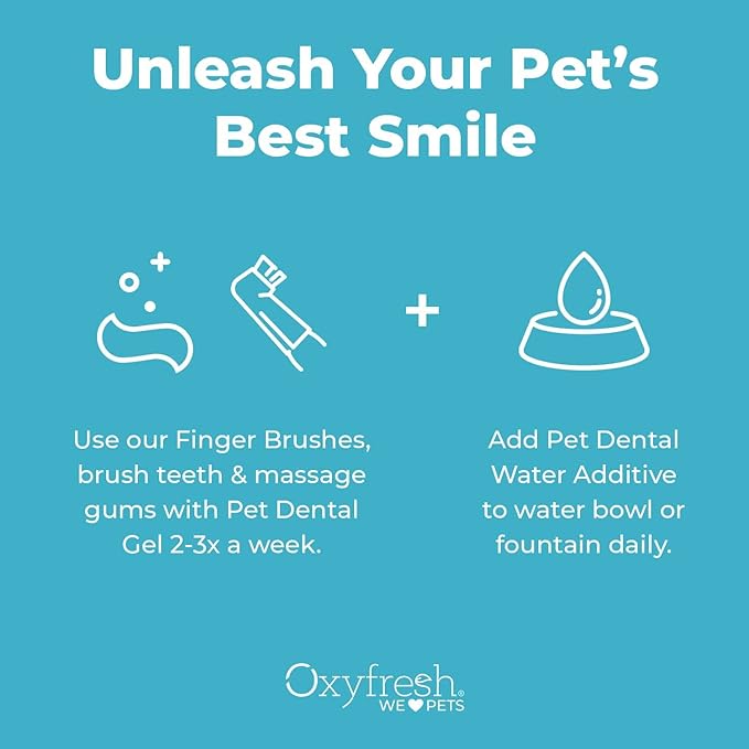 Oxyfresh Premium Pet Dental Kit for Dogs & Cats – Easy Solution for Fresh Breath, Clean Teeth, Control Plaque & Tartar – Vet Formulated Pet Toothpaste 1oz + Water Additive 3oz + 3 LG Brushes Kit