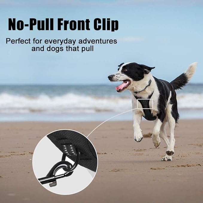 PoyPet No Pull Dog Harness, Reflective Comfortable Vest Harness with Front & Back 2 Leash Attachments and Easy Control Handle Adjustable Soft Padded Pet Vest for Small to Large Dogs (Black,XS)