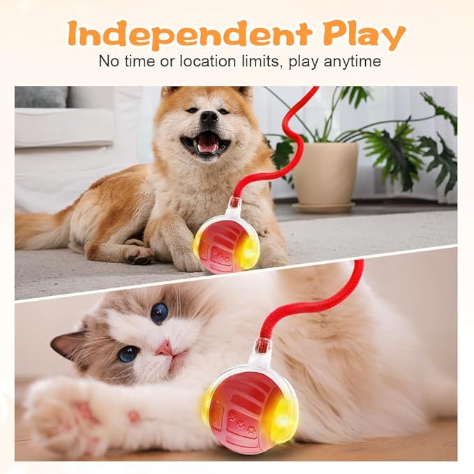 2026 New Interactive Pet Toy Ball, Smart Interactive Toy Ball for Cats & Dogs, Electric Rolling Pet Toy Ball, Rechargeable Interactive Cat Toys for Bored Indoor Cats Kittens to Keep Busy (Green)
