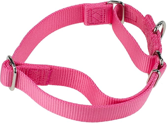 Hyhug Improved Design Nylon Webbing, Cold Water Washing Does Not Fade, Not Polluting Dog Hair, Wear Resistant and Not Prone to Fuzzing. No Slip Training Martingale Collar. (Candy Pink, Large)