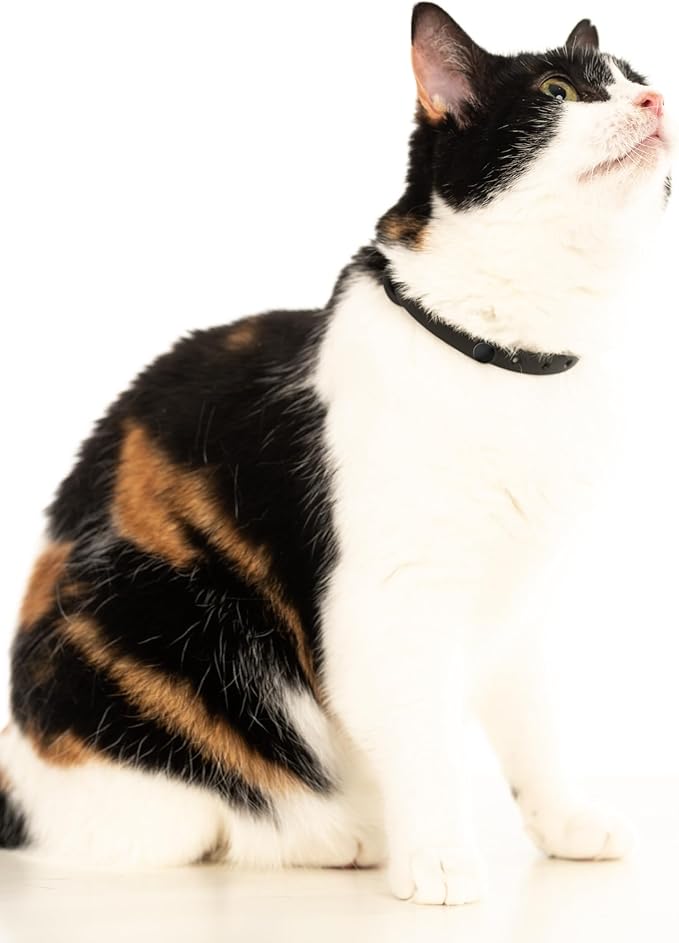 Silicone Cat Collars 2 Pack - Soft, Comfortable, and Lightweight Safety Breakaway Collar with Name Tag Ring for Outdoor Cats and Sensitive Skin Kittens by Nuvuq (6 ⅞" to 10 ¼", Black)