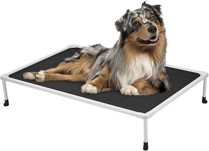 Veehoo Chewproof Elevated Dog Bed - Cooling Raised Pet Cot, Breathable Mesh, Washable & Non-Slip for Medium Dogs, Indoor/Outdoor, Black Mat and Silver Metal Frame, 32x25inches (Model CWC2203B03)