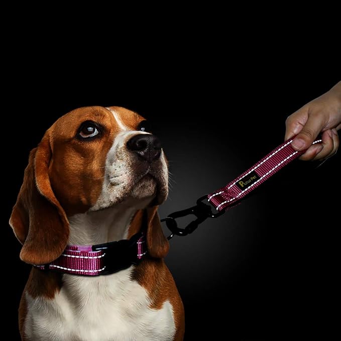 PLUTUS PET 10 Inch Short Dog Leash for Large Dogs with Locking Carabiner Clip & Padded Handle （10”, Pink）
