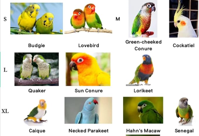 Pet Parrot Bird Harness Leash Adjustable Bird Flying Harness Traction Rope with Cute Wing for Parrots Pigeons Budgerigar Lovebird Cockatiel Mynah Outdoor Training Toy (M, Blue)