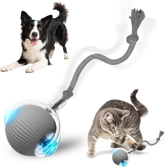Interactive Cat Toy, 2025 New Interactive Rolling Cats Dog Toy Balls 360° Smart Automatic Rolling Pet Ball, Fast Moving Toy for Dog,Cat Ball Toy (Grey)