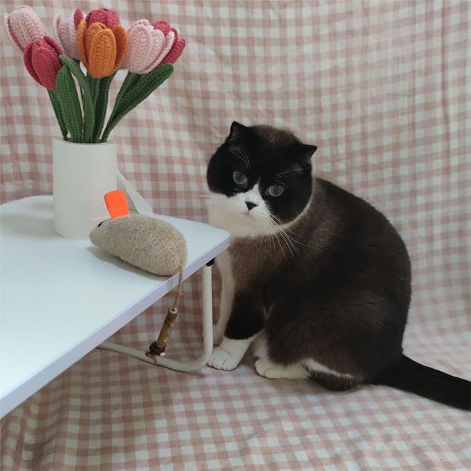 Cat Toys for Indoor Cats, 3Pcs Large 8.9" Plush Mouse Kitten Toys with Bell Tail Sound, Organic Catnip with Silvervine, Individually Packaged Dental Chew Matatabi for Exercise & Oral Health