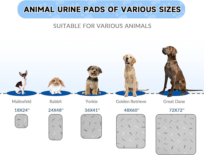 Sunheir Washable Pee Pads for Small Pet 5-Pack, Reusable Pet Training Pads Absorbent & Leak-Free, Waterproof Pee Pads for Dog Cat Rabbit Guinea Pig Hamster, Whelping Pad (Leaves - Sky Blue, 12x12)