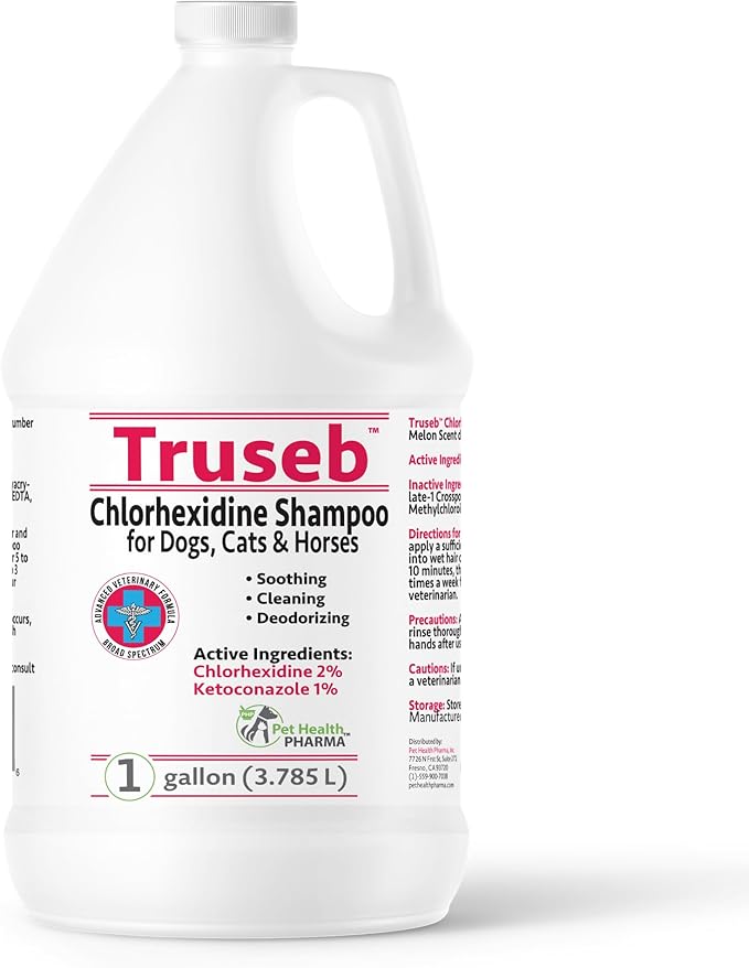Truseb All Natural Topical Ketoconazole and Chlorhexidine Shampoo for Dogs, Cats & Horses with Aloe Vera Shampoo and Conditioner(Ketoconazole & Chlorhexidine Shampoo, 1 Gallon)