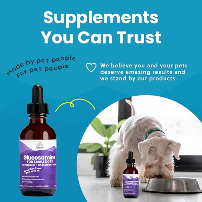 Liquid Glucosamine for Small Dogs, 260mg Glucosamine Liquid for Dogs Joint Supplement for Mobility & Comfort, Easy-to-Use Liquid MSM & Chondroitin, 2 oz