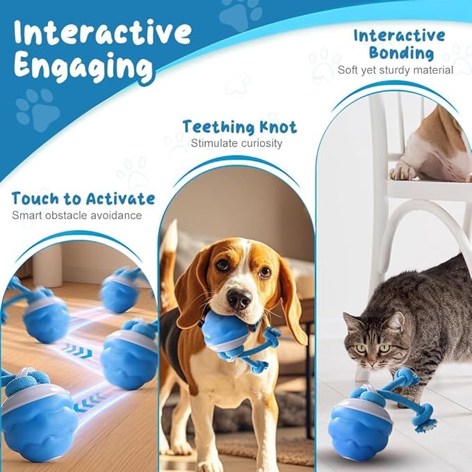 2026 New Interactive Pet Toy Ball, Smart Interactive Toy Ball for Cats & Dogs, Electric Rolling Pet Toy Ball, Rechargeable Interactive Cat Toys for Bored Indoor Cats Kittens to Keep Busy (Blue)