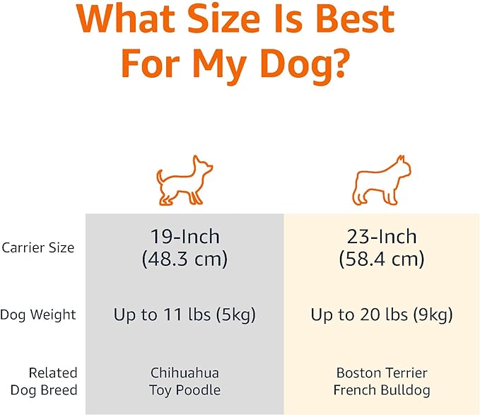 Amazon Basics 2-Door Top-Load Hard-Sided Cat Pet Travel Carrier, 19.0" L x 12.6" W x 10.0" H, Gray & Blue