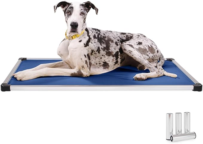 K9 Ballistics Chew Proof Armored Padded Dog Crate Bed, Virtually Indestructible, Legs Included (Blue, XX-Large (50" L x 33" W x 8" H))