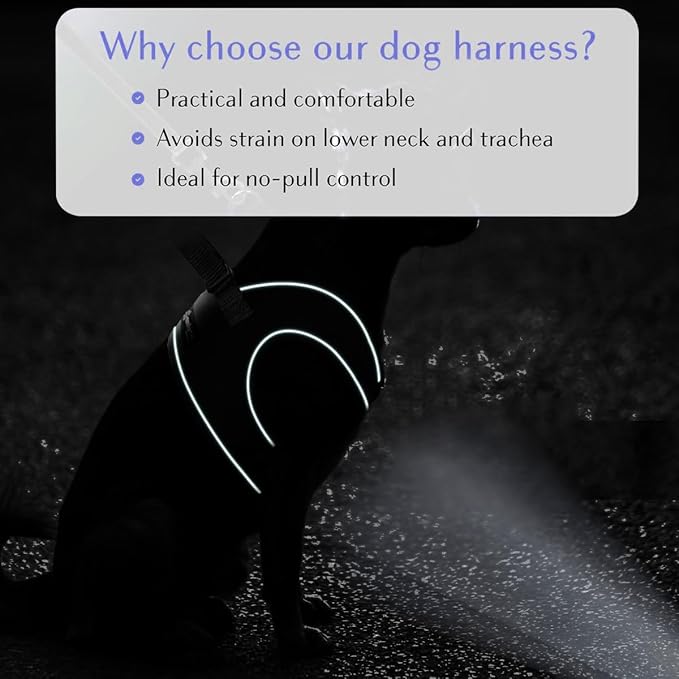 Comfort Fit Dog Harness No Pull with Adjustable Buckles Soft Padded Reflective Choke Step-in Pet Vest with Easy Control Handle for Small Medium Large Dogs & Puppies for Walking Running Training