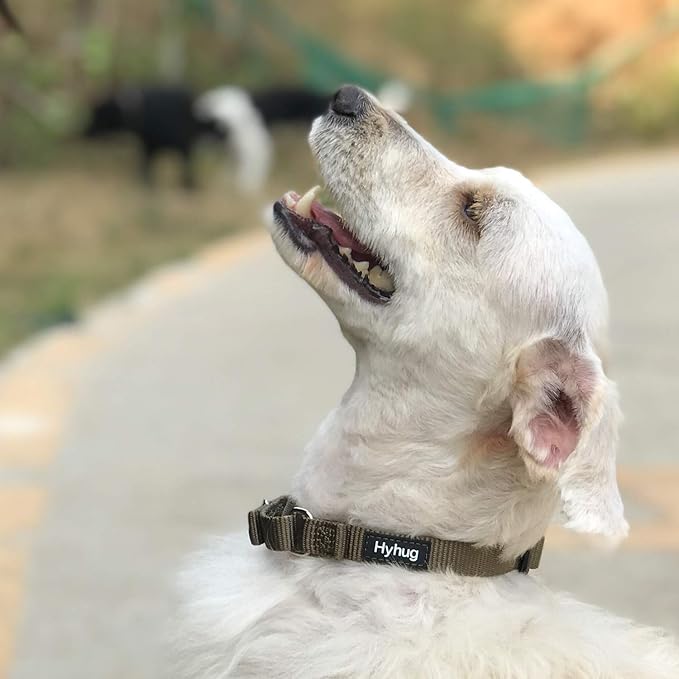 Hyhug Martingale Dog Collar Without Buckle: Escape-Proof, No Slip Heavy Duty Nylon, Colorfast Adjustable Pet Supplies for Small Breeds(Small, Military Green)