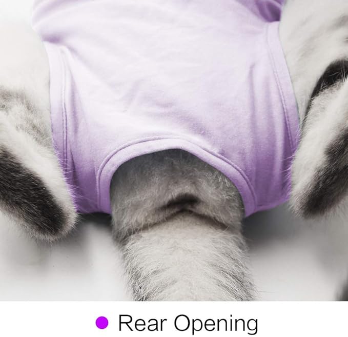 DOTON Cat Recovery Suit for Male and Female Surgical Post Surgery Soft Cone Onesie Shirt Clothes Neuter Licking Protective Diapers Outfit Cover Kitten Spay Collar(L, Purple)