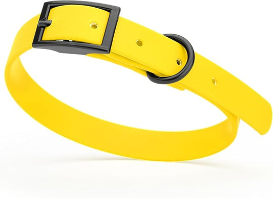 Dogline Biothane Waterproof Dog Collar Strong Coated Nylon Webbing with Black Hardware Odor- Proof for Easy Care Easy to Clean High Performance Fits Small Medium or Large Dogs, Lemon Yellow