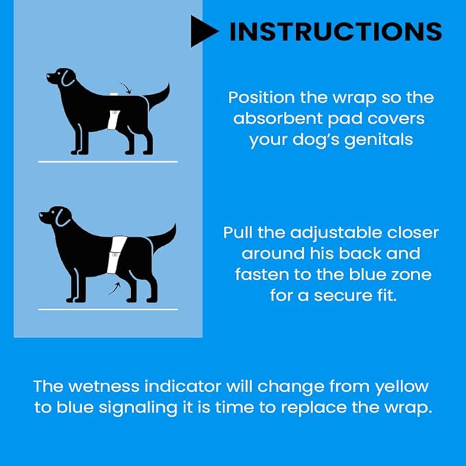 BV Dog Diapers Male Small (Waist 12-19in) Super Absorbent - 50 Count Disposable - Doggie Diapers with Wetness Indicator - Adjustable Male Dog Wraps - Ideal for Incontinence/Training