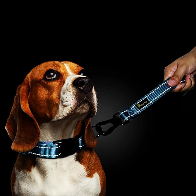PLUTUS PET 10” Short Dog Leash, Reflective Nylon Padded Handle, Strong Traffic Leash with Carabiner Clip, Perfect for Large or Medium Dogs（10”，Blue