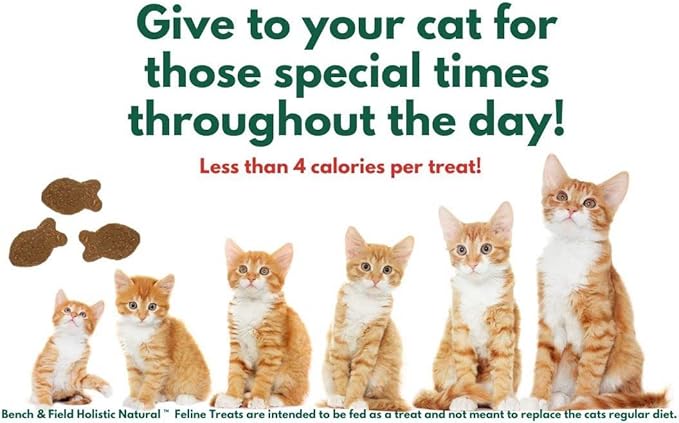 Bench & Field Holistic Natural Healthy Kitty Cat Treats | Crunchy Fish-Shaped Bites | Delicious Seafood Flavored Snack, 3-Ounce (Pack of 12 Bottles)