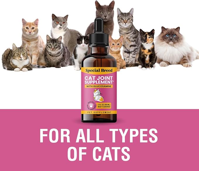 Special Breed Cat Joint Supplement, Liquid Glucosamine with Chondroitin for Cats, Feline Hip and Joint Pain Relief, 2 oz
