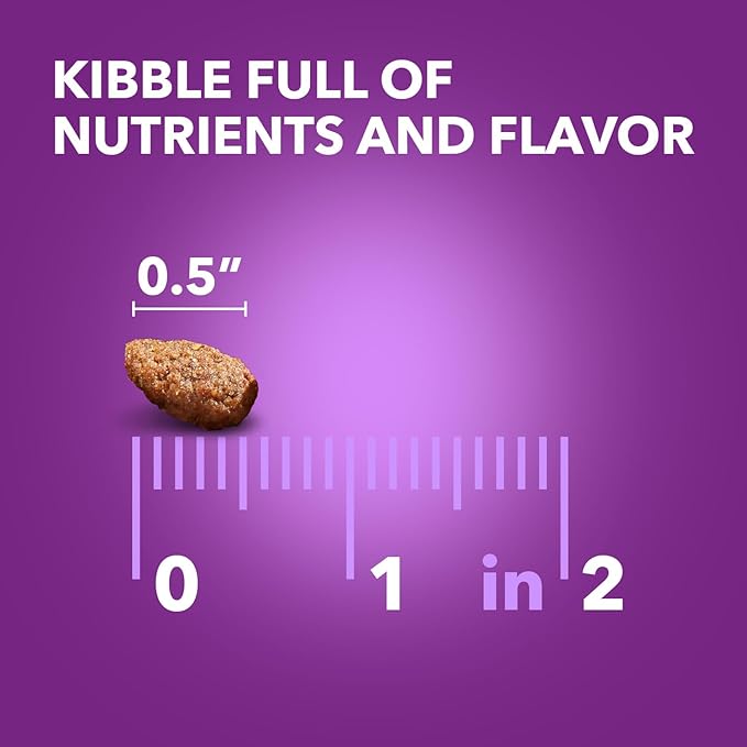 IAMS Advanced Health Skin & Coat Adult Dry Dog Food Chicken and Salmon Recipe, 6 lb. Bag