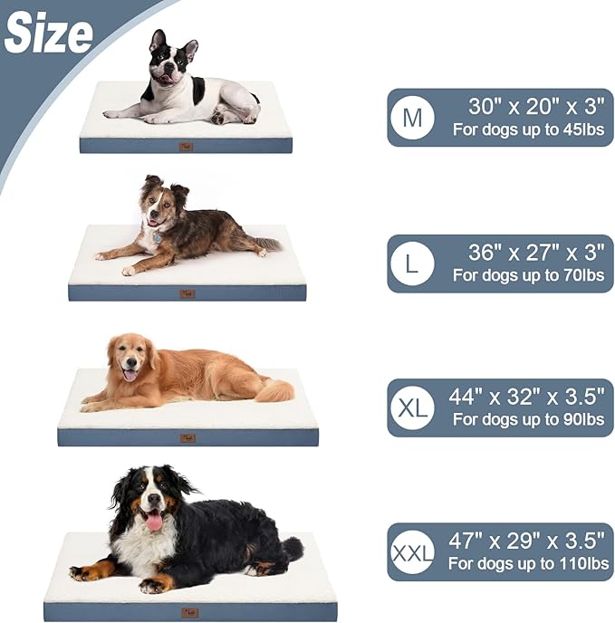 Medium Dog Bed for Medium/Small Dogs, Orthopedic Dog Beds with Removable Washable Waterproof Cover, Egg Crate Foam Pet Bed Mat, Blue White