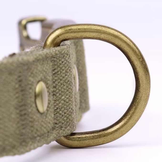 PET ARTIST Dog Collars for Small Dogs, Soft Padded Premium Nylon Dog Collar with Quick Release Metal Buckle, Durable & Adjustable Pet Collars for Boy Gifts, Green, S (Fit 10-16")