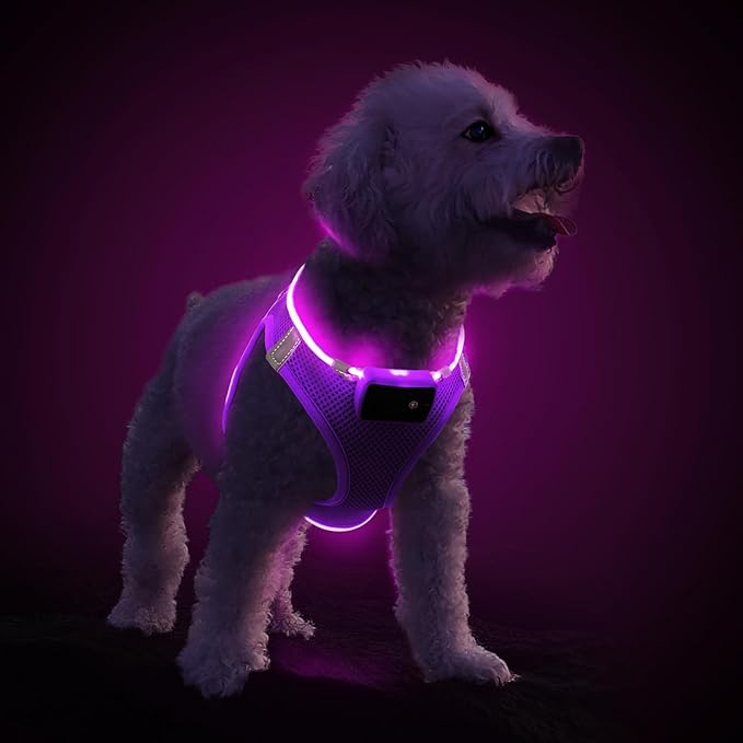 PceoTllar Light Up Dog Harness, LED No Pull Reflective Dog Harness, Flashing Lighted for Night Walking - Small/Medium, (Purple,L)