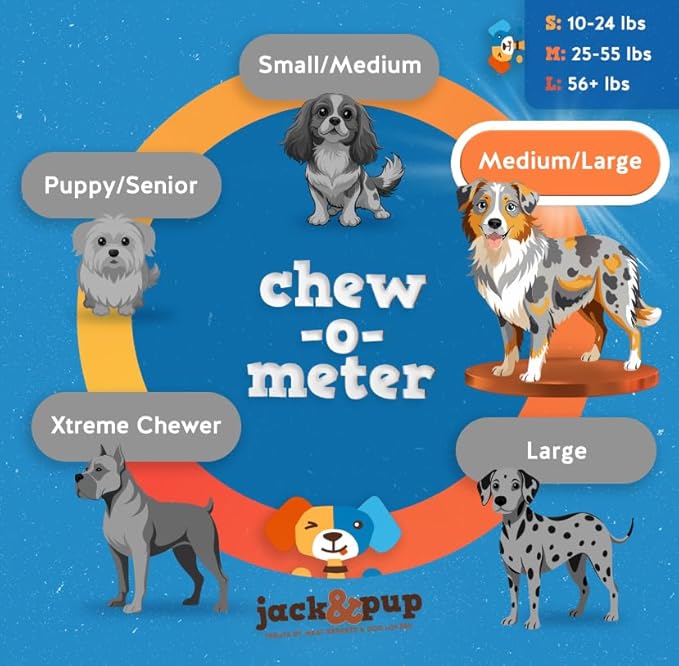 Jack&Pup 12 Inch Bully Sticks for Large Dogs | Thick Odor Free Bully Sticks (3 Pack) Long Lasting Bully Sticks for Dogs